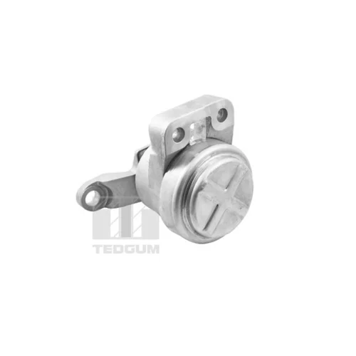 Uloženie motora TED36070 /TEDGUM/