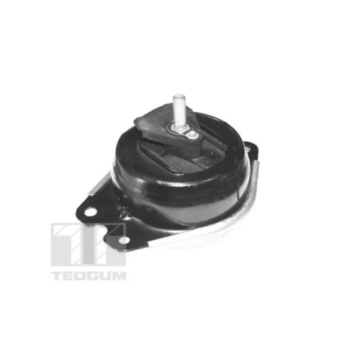 Uloženie motora TED40414 /TEDGUM/