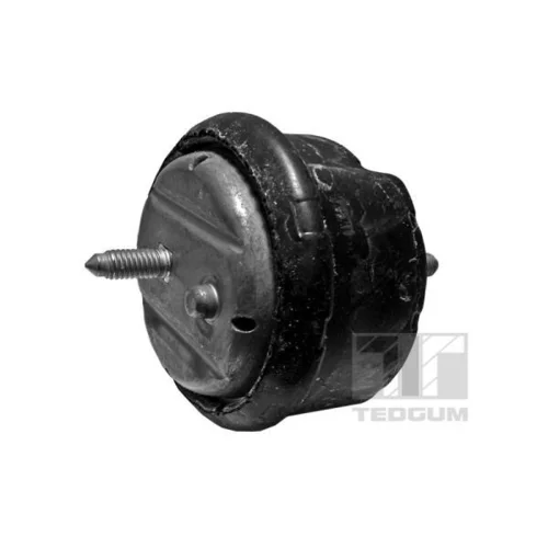 Uloženie motora TEDGUM 00089803