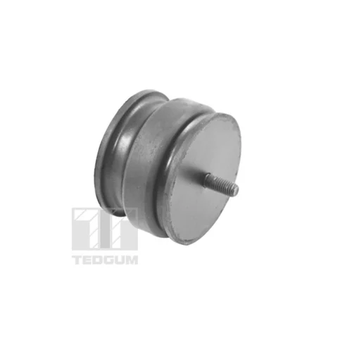 Uloženie motora 00221175 /TEDGUM/ - obr. 1