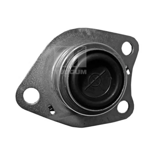 Uloženie motora TEDGUM 00580609