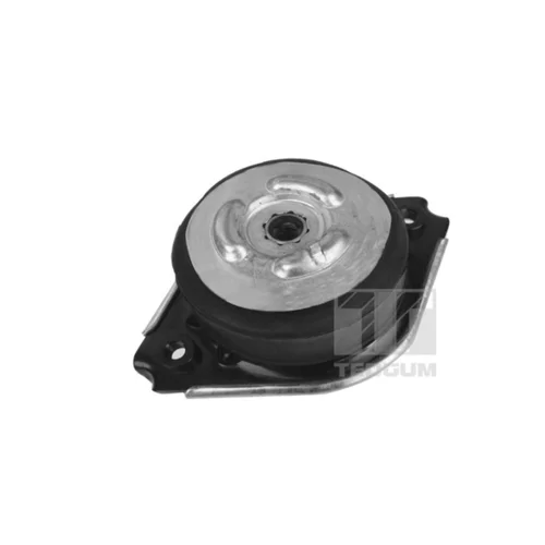 Uloženie motora TEDGUM 00418536