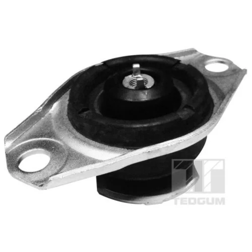 Uloženie motora TEDGUM 00025995