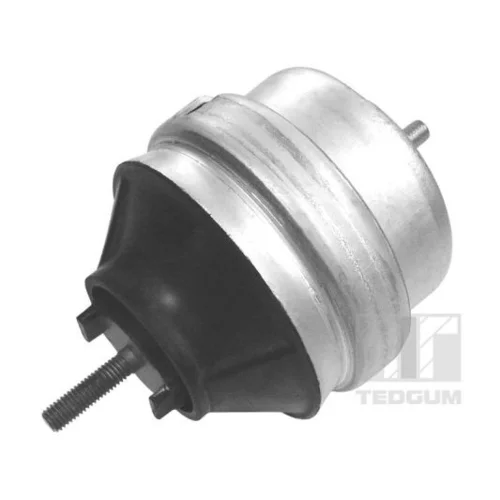 Uloženie motora TEDGUM 00726440
