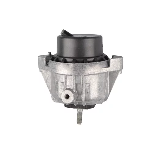 Uloženie motora TED60795 /TEDGUM/ - obr. 1
