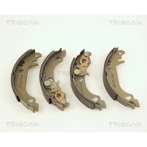 Sada brzdových čeľustí TRISCAN 8100 15547