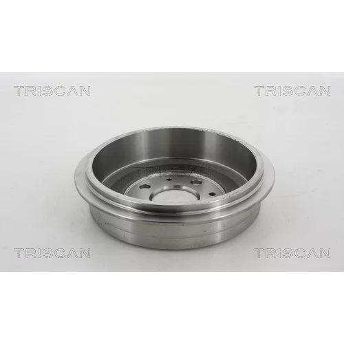 Brzdový bubon 8120 24213 /TRISCAN/ - obr. 1