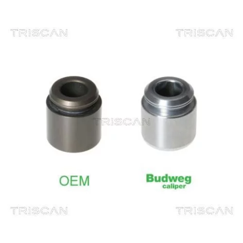 Piest brzdového strmeňa 8170 232803 /TRISCAN/