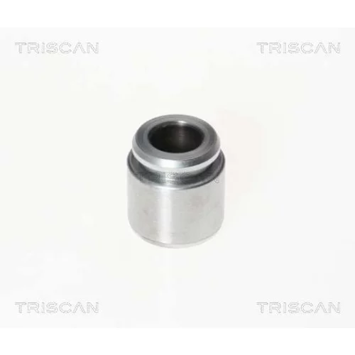 Piest brzdového strmeňa 8170 233023 /TRISCAN/