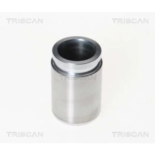 Piest brzdového strmeňa 8170 233026 /TRISCAN/