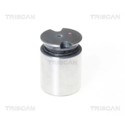 Piest brzdového strmeňa 8170 233634 /TRISCAN/