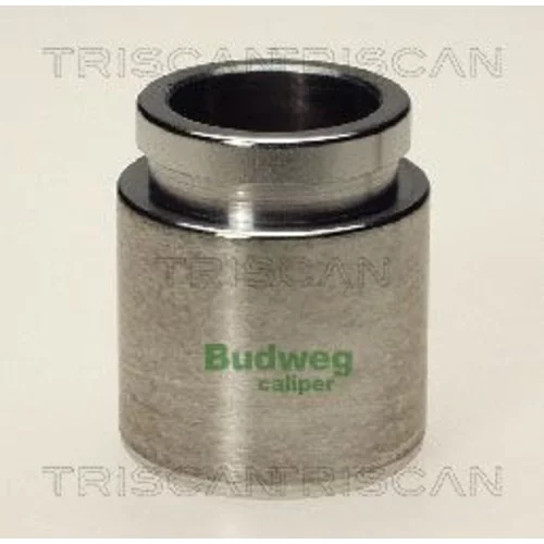 Piest brzdového strmeňa TRISCAN 8170 233819