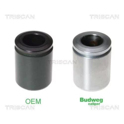 Piest brzdového strmeňa TRISCAN 8170 233848