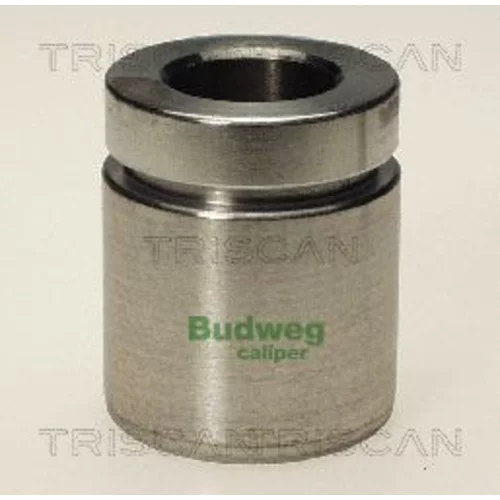 Piest brzdového strmeňa 8170 234020 /TRISCAN/