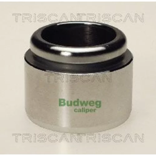Piest brzdového strmeňa 8170 234405 /TRISCAN/
