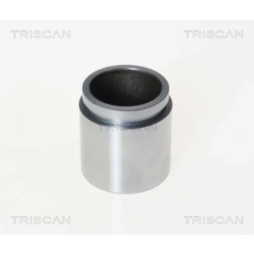 Piest brzdového strmeňa 8170 234535 /TRISCAN/