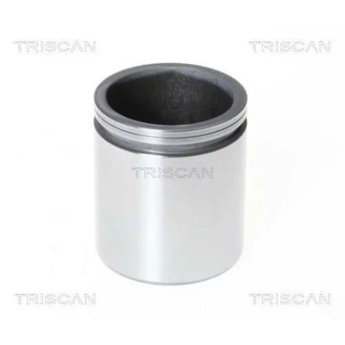 Piest brzdového strmeňa 8170 235213 /TRISCAN/