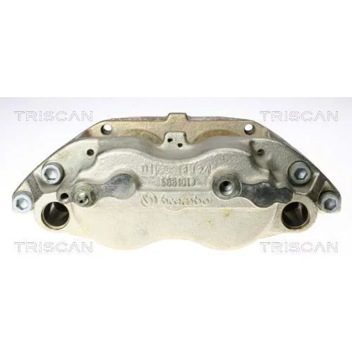 Brzdový strmeň TRISCAN 8170 343678