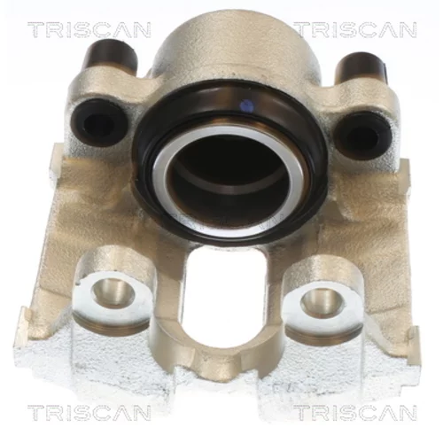 Brzdový strmeň TRISCAN 8175 11120