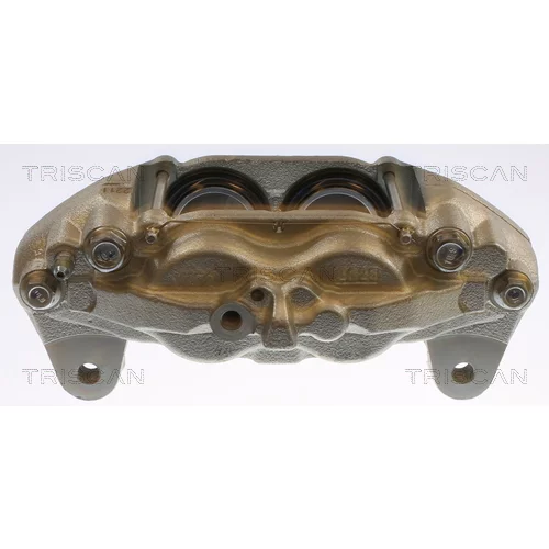 Brzdový strmeň 8175 13130 /TRISCAN/ - obr. 1