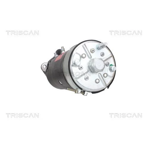 Štartér 8305 10131 /TRISCAN/ - obr. 3