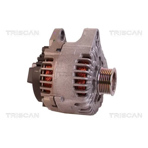 Generátor zapaľovania 8305 23003 /TRISCAN/ - obr. 6