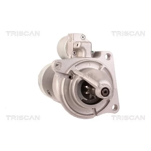 Štartér 8305 25004 /TRISCAN/ - obr. 7