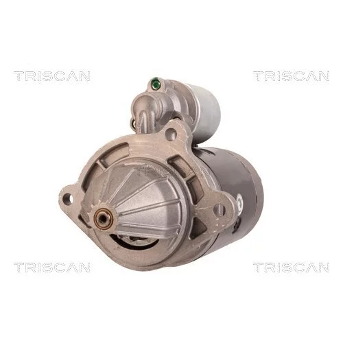 Štartér TRISCAN 8305 29021