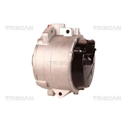 Alternátor 8310 10022 /TRISCAN/ - obr. 7