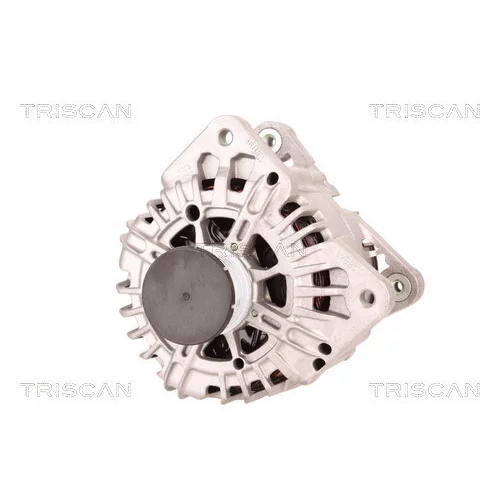 Alternátor 8310 10050 /TRISCAN/ - obr. 5