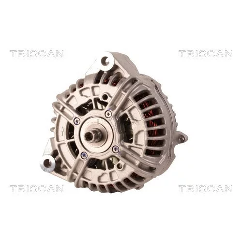 Alternátor 8310 10067 /TRISCAN/ - obr. 5