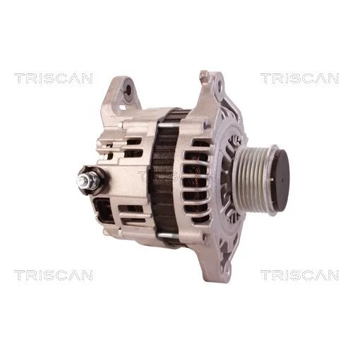 Alternátor 8310 10109 /TRISCAN/ - obr. 3