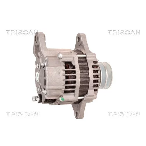 Alternátor 8310 10116 /TRISCAN/ - obr. 2
