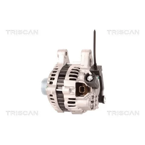 Alternátor 8310 10149 /TRISCAN/ - obr. 7
