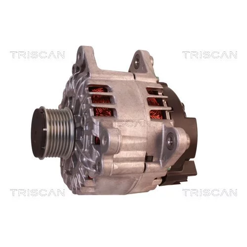 Alternátor 8310 10165 /TRISCAN/ - obr. 6