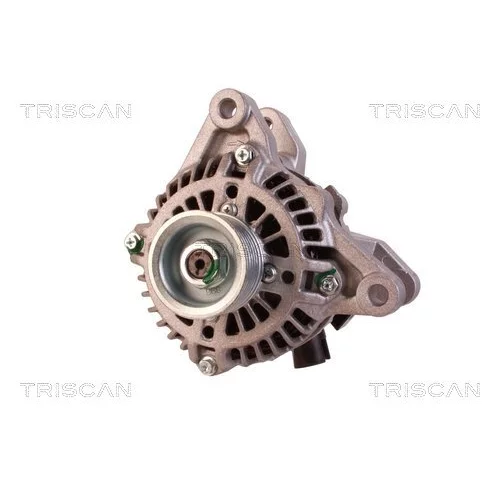 Alternátor 8310 16020 /TRISCAN/ - obr. 5