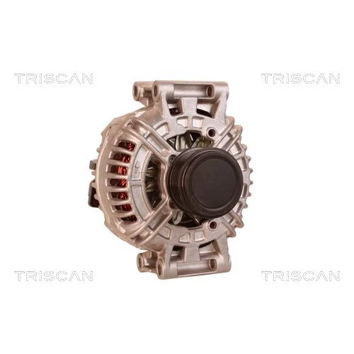 Alternátor 8310 16031 /TRISCAN/ - obr. 4