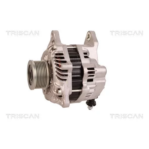 Alternátor 8310 18002 /TRISCAN/ - obr. 6