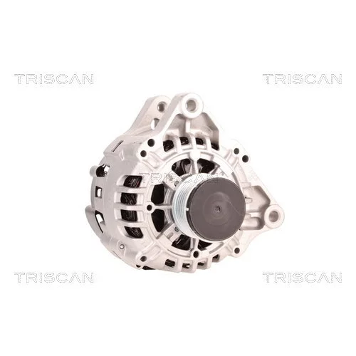 Alternátor 8310 20001 /TRISCAN/ - obr. 4