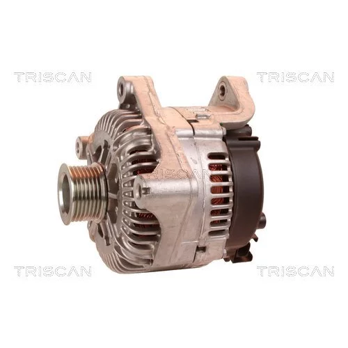 Alternátor 8310 24023 /TRISCAN/ - obr. 6