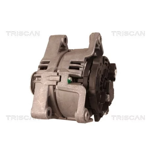 Alternátor 8310 25028 /TRISCAN/ - obr. 7