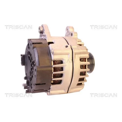 Alternátor 8310 25032 /TRISCAN/ - obr. 2