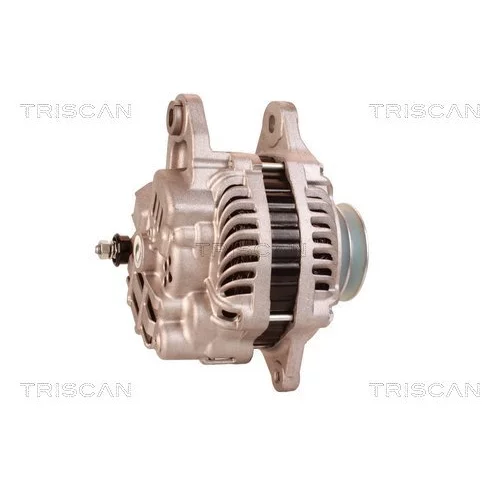 Alternátor 8310 29010 /TRISCAN/ - obr. 2