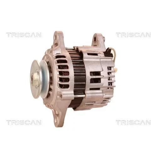 Alternátor 8310 29011 /TRISCAN/ - obr. 6