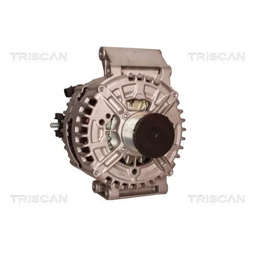 Alternátor 8310 29015 /TRISCAN/ - obr. 4