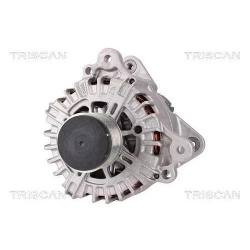Alternátor 8310 29024 /TRISCAN/ - obr. 5