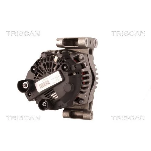 Alternátor 8310 29036 /TRISCAN/ - obr. 1