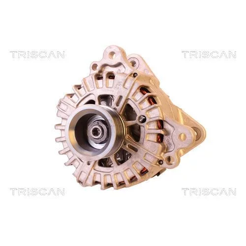 Alternátor 8310 29060 /TRISCAN/ - obr. 5