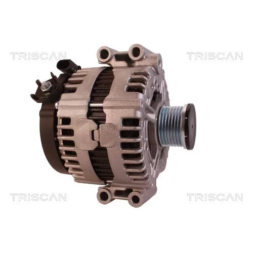 Alternátor 8310 68005 /TRISCAN/ - obr. 3