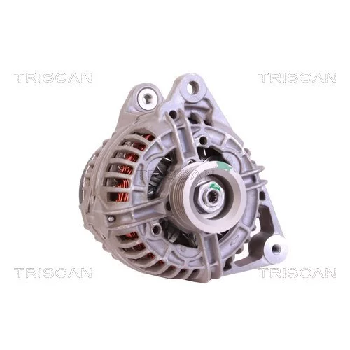 Alternátor 8310 68006 /TRISCAN/ - obr. 4
